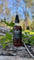 500ml Rainforest Honey