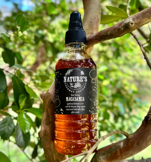 500ml Raw Macadamia Honey