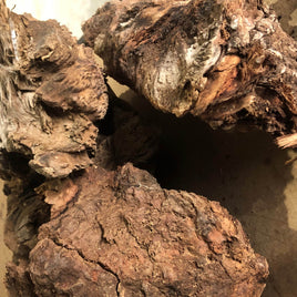 Mallee Root Wood Chunks 1kg